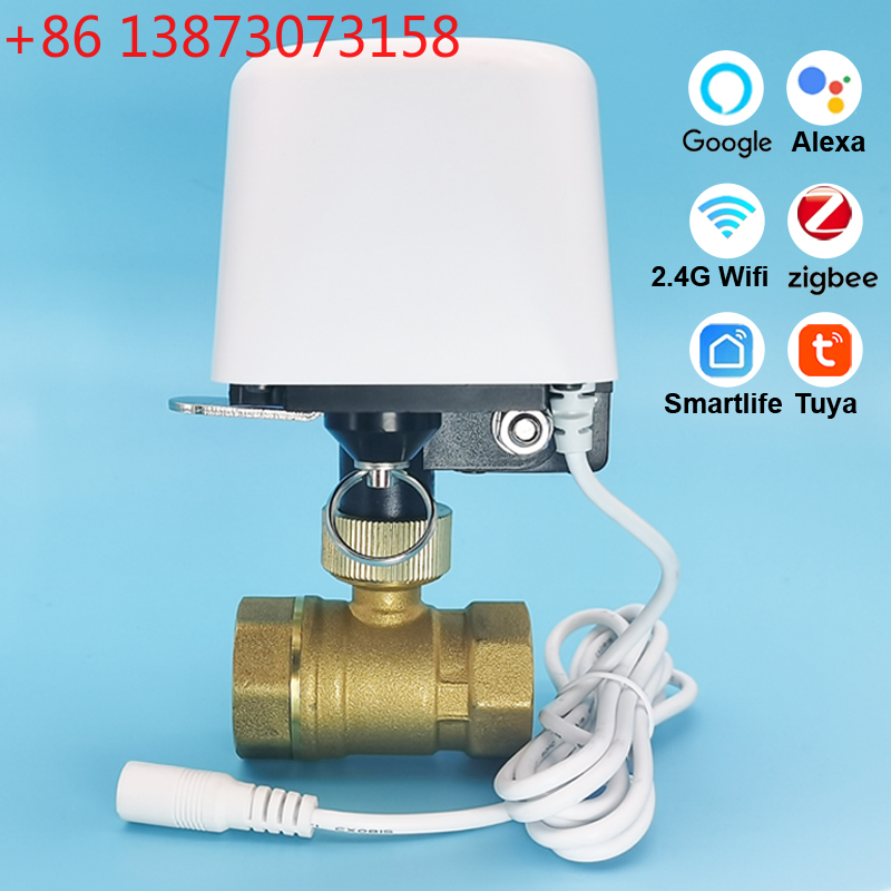 Smart Garden Home Assistant - 1/2インチ 3/4インチ 1インチ Tuya Zigbee Wifi水道バルブ