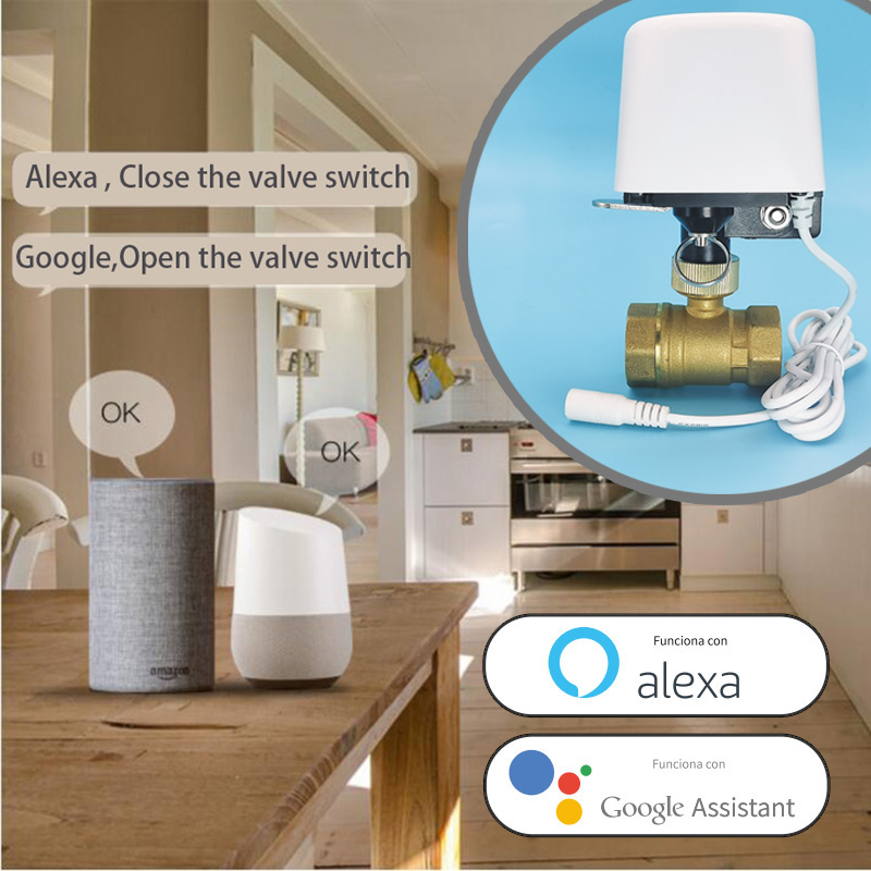 1/2インチ 3/4インチ 1インチ DN32 Tuya Z - Smart Garden Home Assistant のレビューと価格