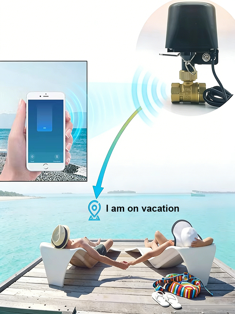 Tuyaスマートウォーターバルブ ​   DN15/DN20 - Smart Garden Home Assistant のレビューと価格