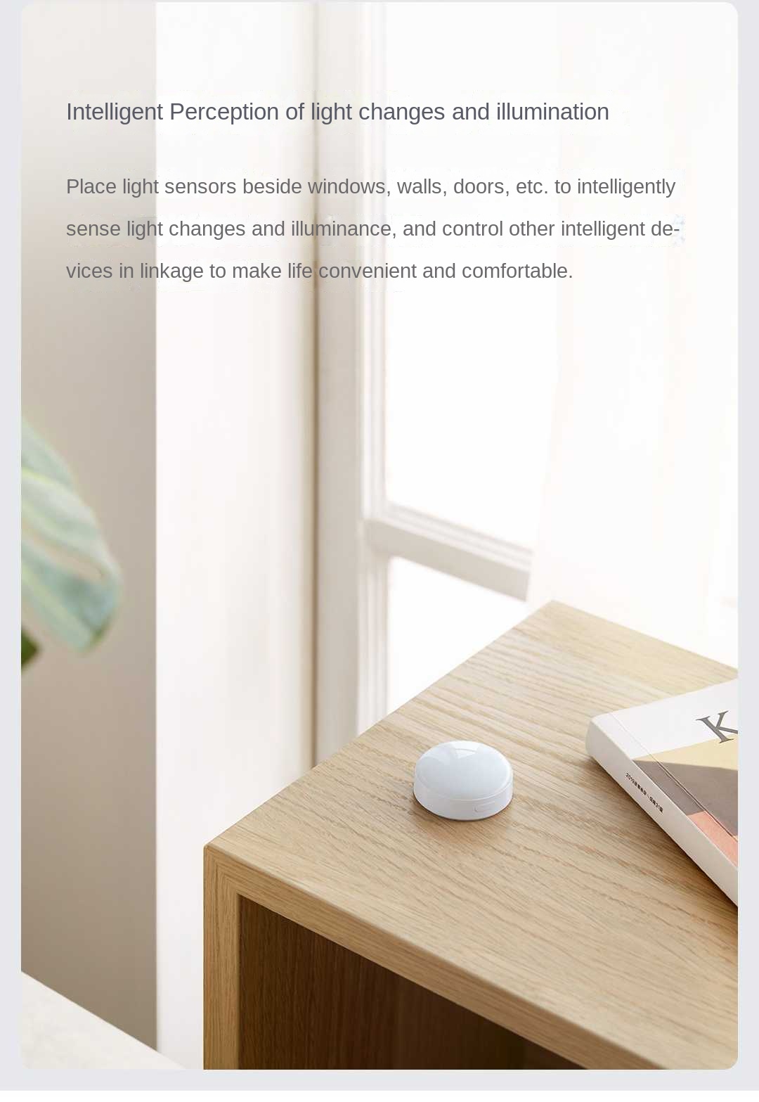 Aqara 光センサー T1 Zigbee 3.0 輝度セン - Smart Garden Xiaomi のレビューと価格