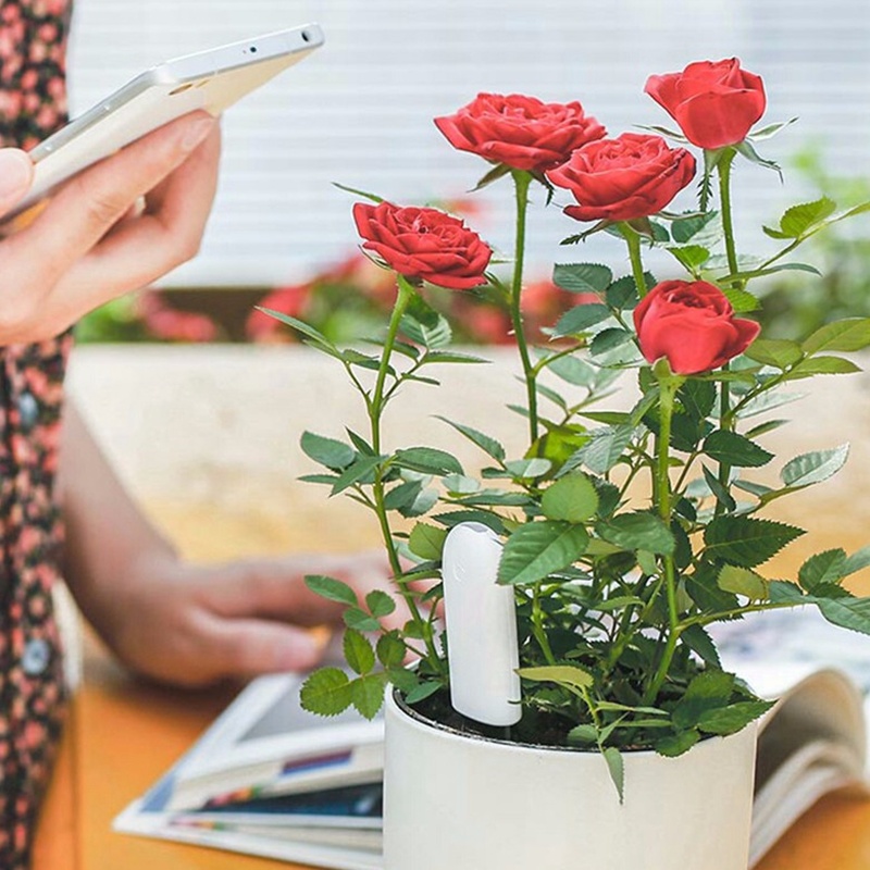 HHCCフラワーモニター フローラガーデンケア 植物 草 土 - Smart Garden Xiaomi のレビューと価格