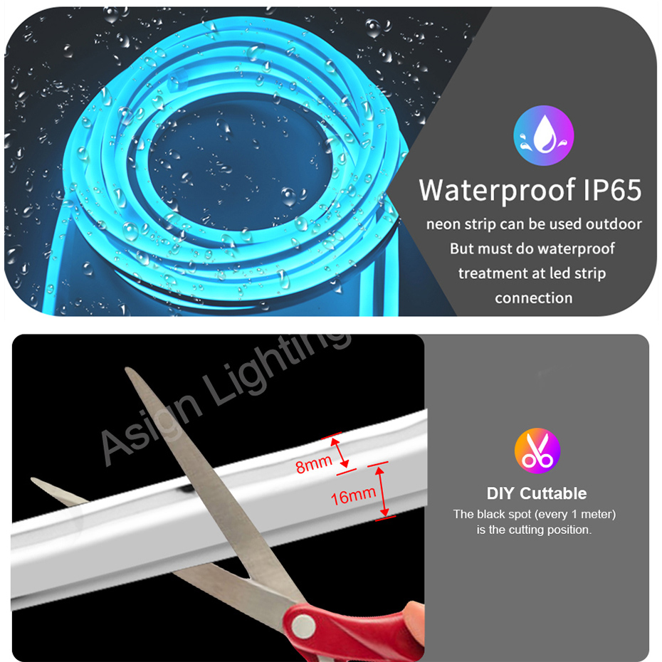 スマートRGB LEDネオンライト EU/UK/AUプラグ  - Smart Garden Uk のレビューと価格