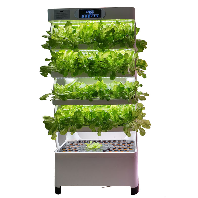 屋内スマート低価格水耕栽培垂直庭園水耕栽培植物野菜栽培システ - Smart Garden Indoor のレビューと価格