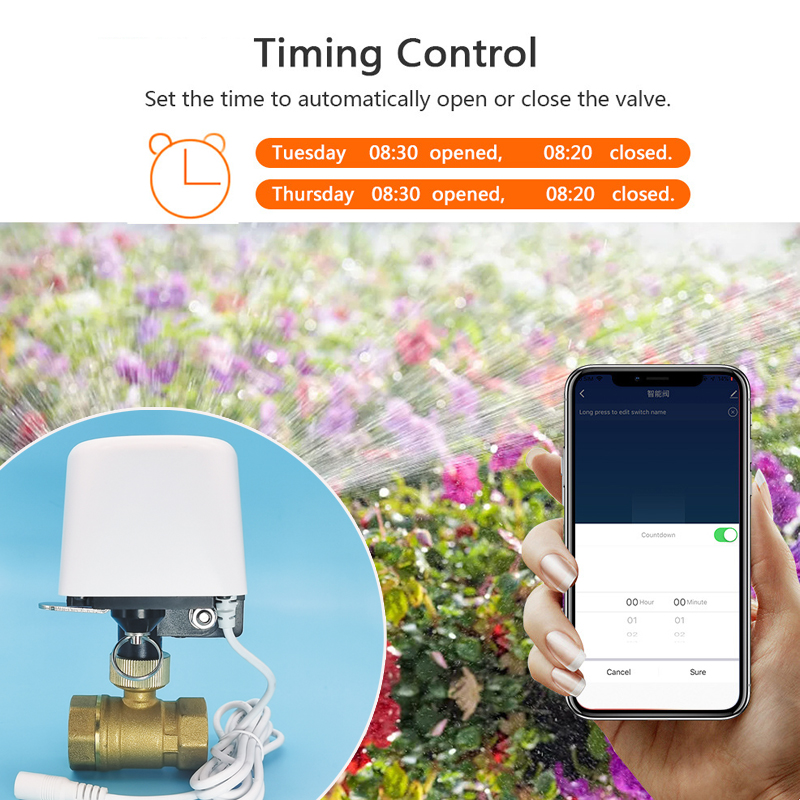 Wifi Zigbee Tuya対応 水道バルブ ガーデン自 - Smart Garden Home Assistant のレビューと価格